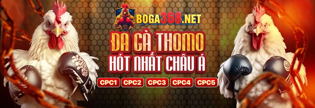 Hình ảnh đại diện cho việc tuân thủ GDPR và bảo mật dữ liệu tại ok83865 casino